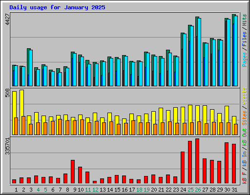 Daily usage for January 2025