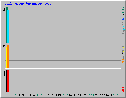 Daily usage for August 2025