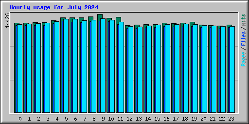 Hourly usage for July 2024