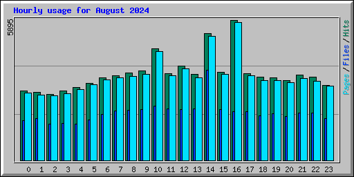 Hourly usage for August 2024
