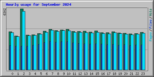 Hourly usage for September 2024