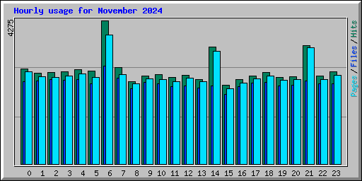 Hourly usage for November 2024