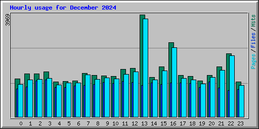 Hourly usage for December 2024