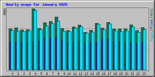Hourly usage for January 2025