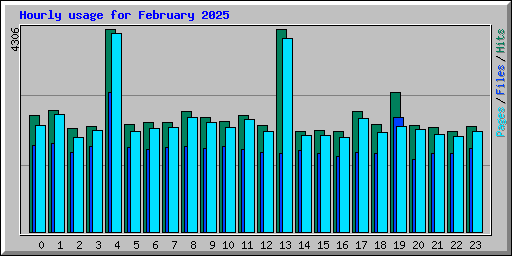 Hourly usage for February 2025