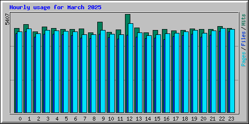 Hourly usage for March 2025