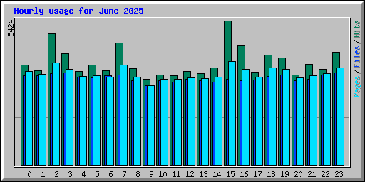 Hourly usage for June 2025