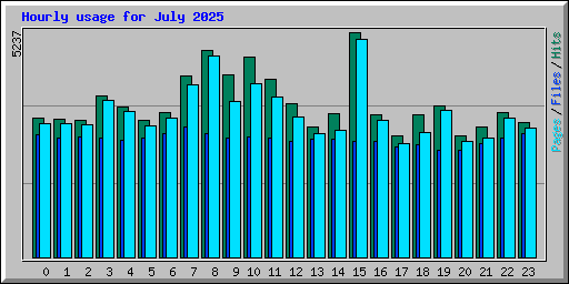 Hourly usage for July 2025