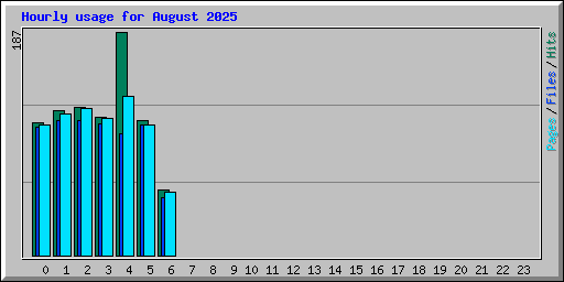 Hourly usage for August 2025