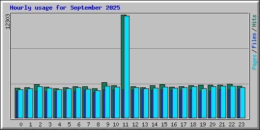 Hourly usage for September 2025