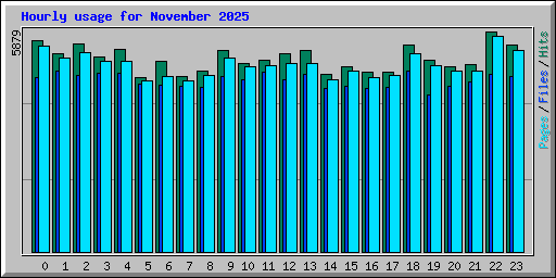 Hourly usage for November 2025